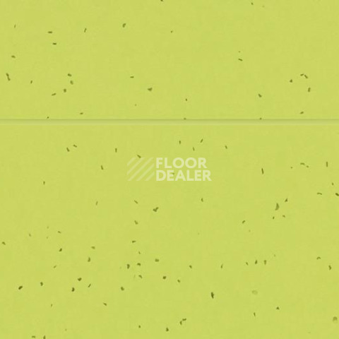 Forbo Sphera Energetic 50214 lime фото 2 | FLOORDEALER